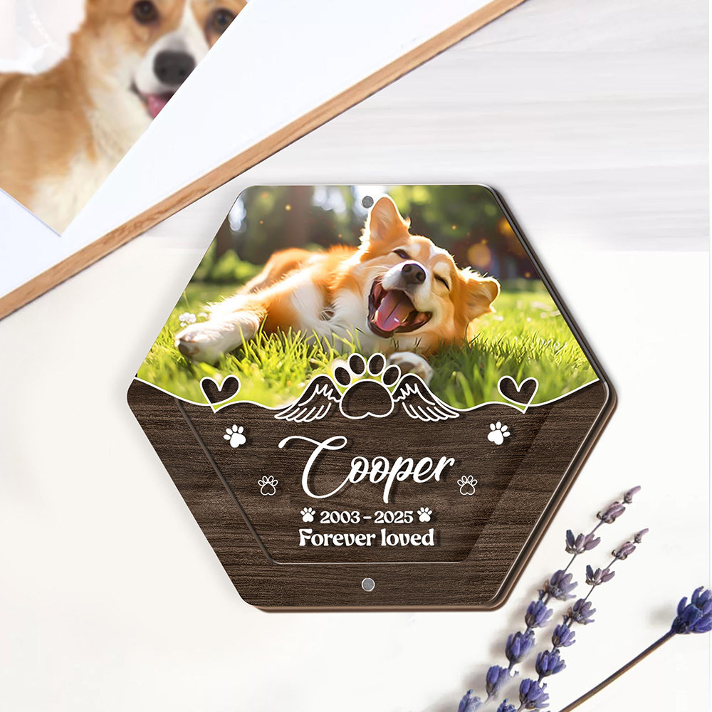 Kişiselleştirilmiş Adı Ahşap O - Pet Supplies Stores incelemesi ve fiyatı